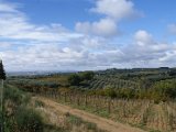 Chianti-2 2016 - 109.jpg